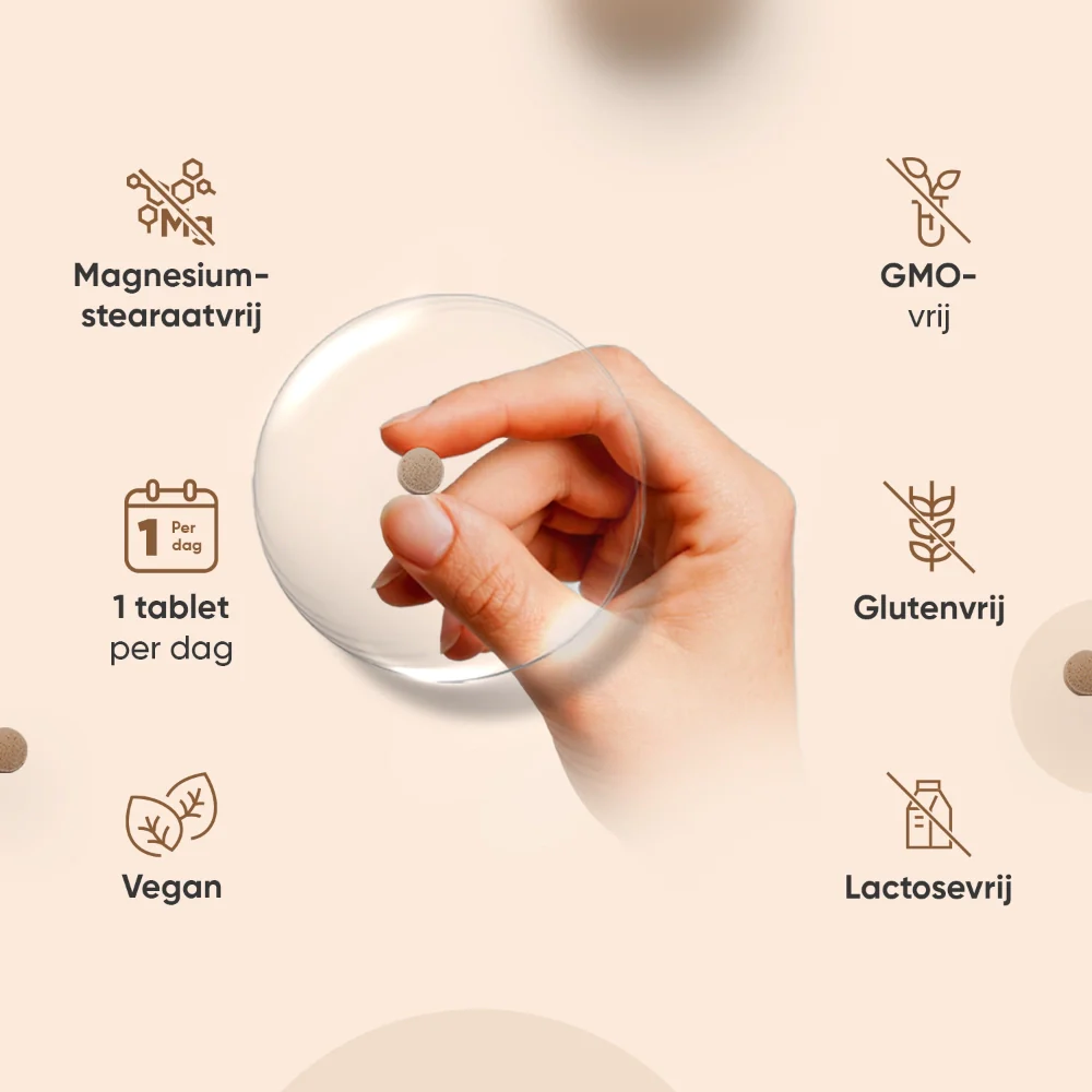 Productafbeelding 3