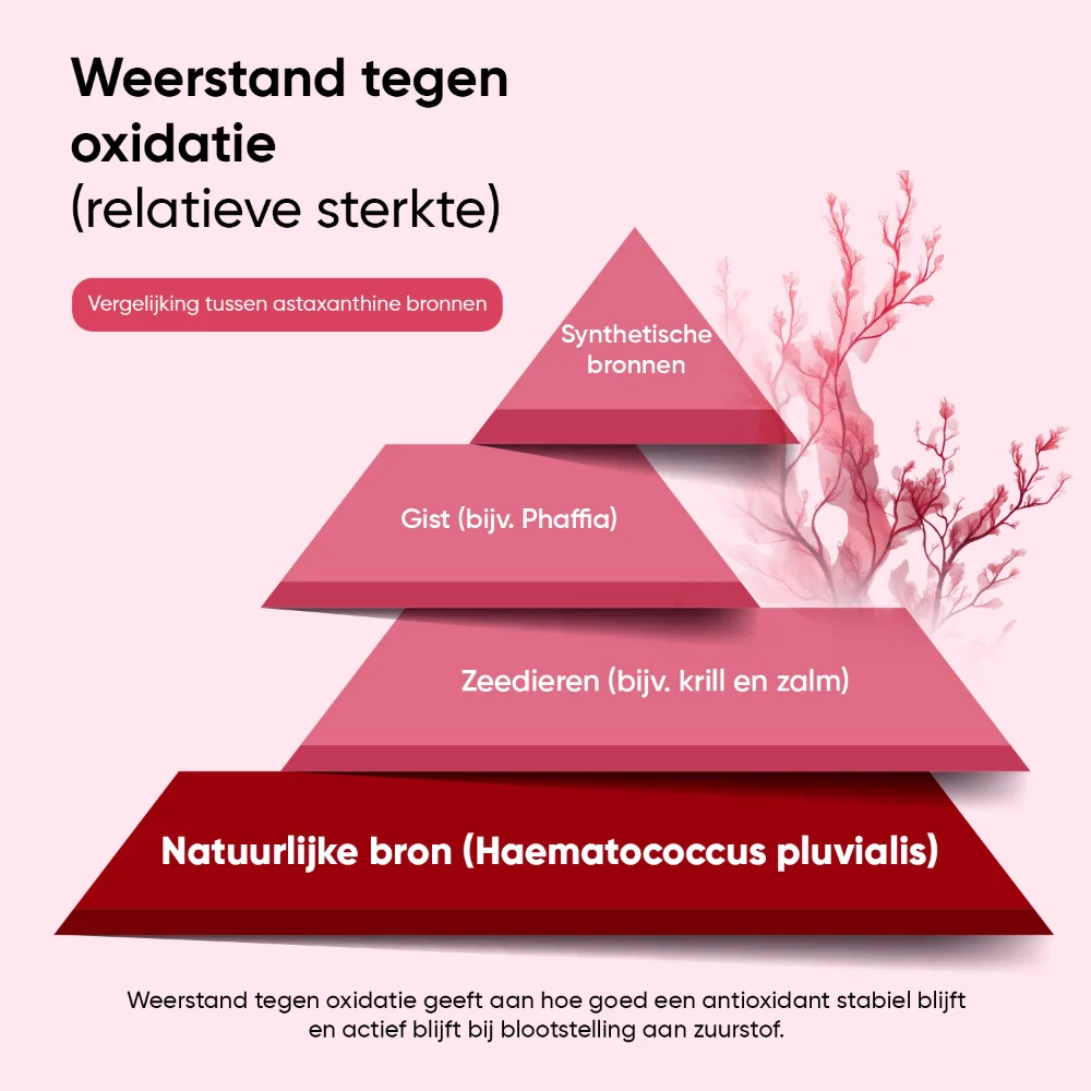 Productafbeelding 4